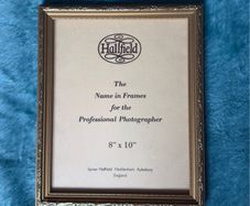Gold-colored Spicer Hallfield picture frame
