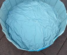 dog paddling pool