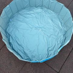 dog paddling pool