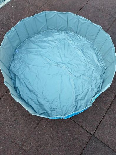 dog paddling pool