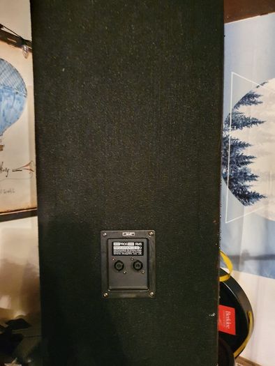 Power Amp and Speakers