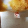 TY Beanie Boo Chihuahua Pablo Plush Soft Toy Image 3