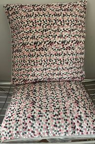 2 Large Cushions FREE