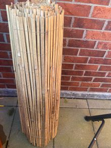 bamboo fencing