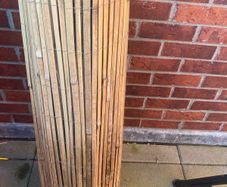 bamboo fencing