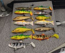 fishing lures