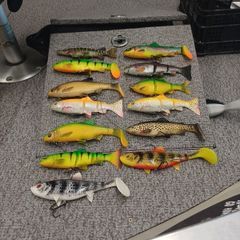 fishing lures