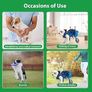 Dog Wheelchair for Back Legs, Adjustable Dog Wheelchair, Rehabilitation 2 Wheels Dog Cart Wheels, Assist Pets with Paralyzed Hind Limbs to Recover Walking, Equipped with Storage Bag and Traction Rope Image 5