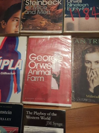 Novels for secondary school