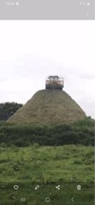Pit silage