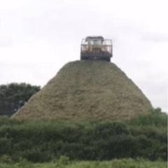 Pit silage