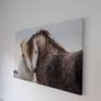 Canvas Horse lovers Image 2