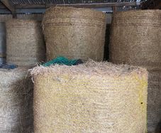 Hay for Sale