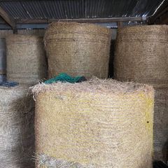 Hay for Sale