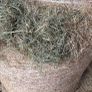 Hay/silage/haylage Image 2