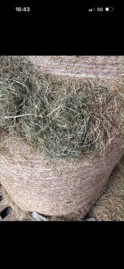 Hay/silage/haylage