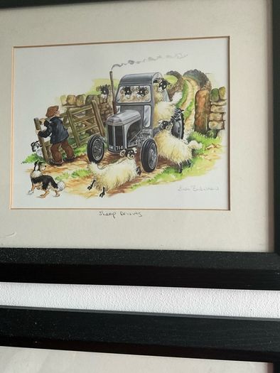 'Cat Nap' & Sheep Driving' by Linda Birkinshaw