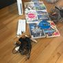 Nintendo wii Image 8