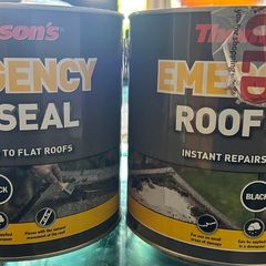 Thompsons Roof seal
