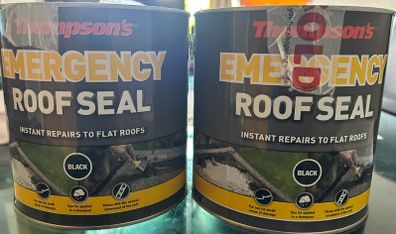 Thompsons Roof seal