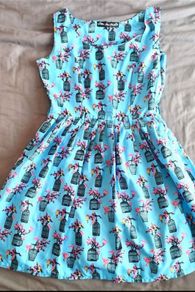 Gorgeous blue bird and cage dress, lined skirt