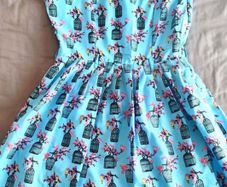 Gorgeous blue bird and cage dress, lined skirt