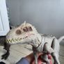 Dinosaurs Image 6