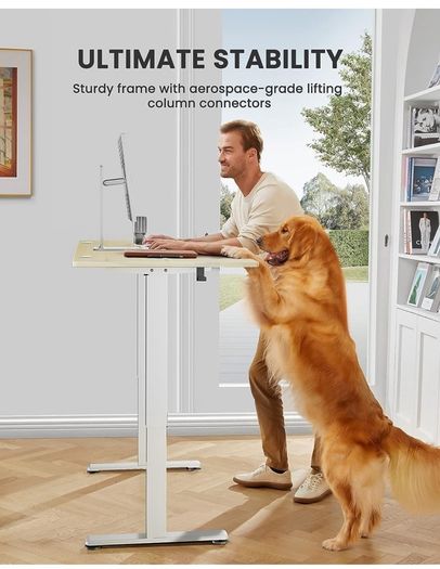 Electric Standing Desk Height Adjustable 120 x 60 cm