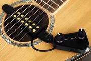 Acoustic Guitar Pick Ups