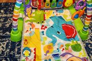 Fisher price play mat