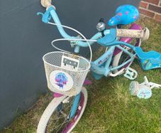 frozen bike