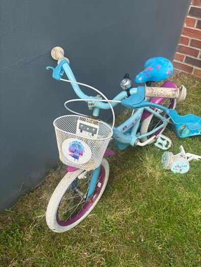 frozen bike
