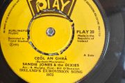 Sandie Jones and The Dixies, Ceol An Ghra, Irish 1972 Eurovision, Showband interest