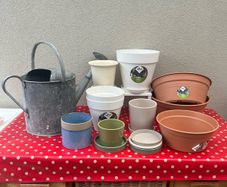 Plant pot