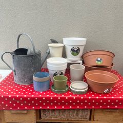Plant pot