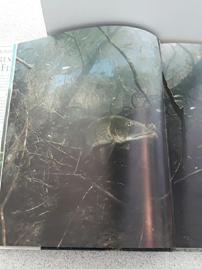 Fishing book