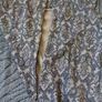 Isabel London Dress   Size 12 Image 5