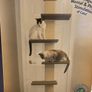 cat climber door Image 8