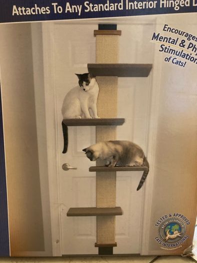 cat climber door