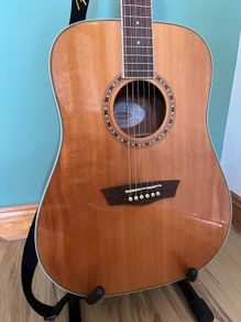 Washburn WD10S Acoustic Guitar