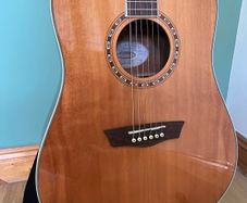 Washburn WD10S Acoustic Guitar
