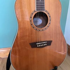 Washburn WD10S Acoustic Guitar