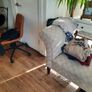 Chaise lounge Image 4