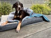 3 in1 Dog Sleeping Bag Dog Blanket Dog Towel
