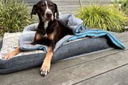 3 in1 Dog Sleeping Bag Dog Blanket Dog Towel