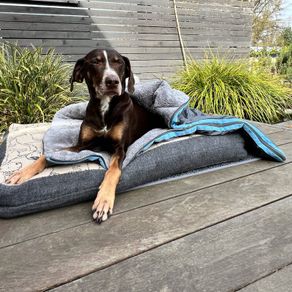 3 in1 Dog Sleeping Bag Dog Blanket Dog Towel