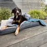 3 in1 Dog Sleeping Bag Dog Blanket Dog Towel Image 5