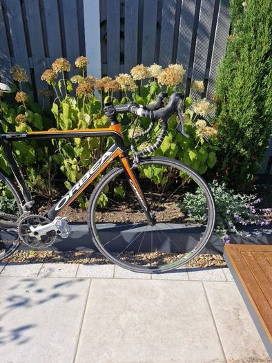 Orbea Road Bike