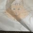 ultimatecat