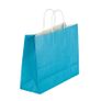 Paper Party/Gift Bags with Twisted Paper Handles Small/Medium/Large/Extra-Large Image 5